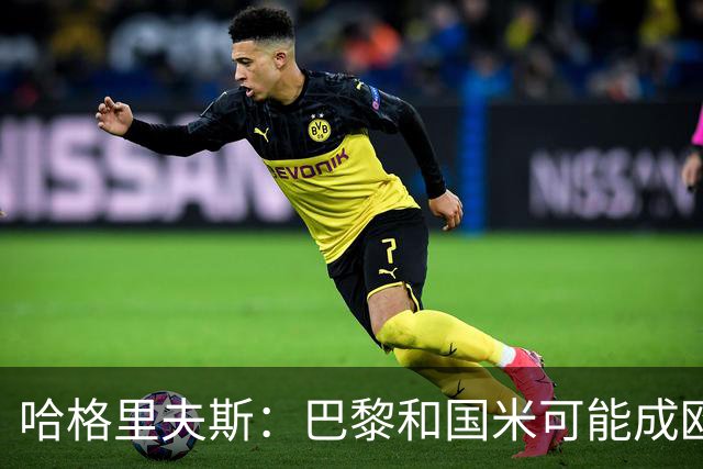 哈格里夫斯：巴黎&国米可能成欧冠黑马